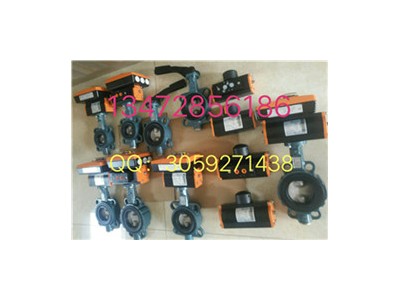 保证原装正品德国EBRO中线气动蝶阀Z011-A图3