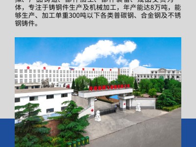 非标来图定制铰链铰座 新腾飞铸钢 可无损探伤 单重1吨起做图4