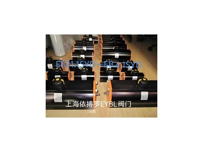 德国EBRO依博罗Z011-A电动蝶阀收发货图4