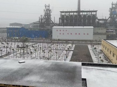 湖北“短流程”铸造厂对外转让图8