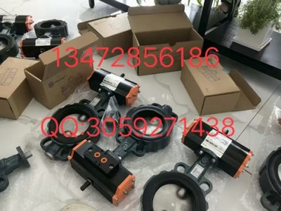 规格齐全速发货德国依博罗EB21.1SYD-EB4.1SYD执行器图2