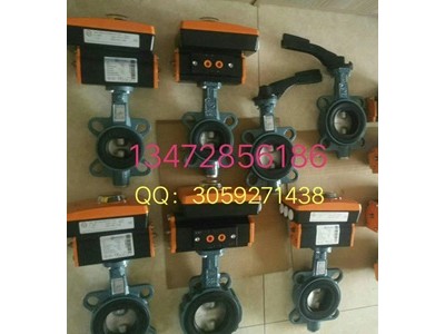 现货供应德国依博罗蝶阀Z011-A DN350规格齐全速发货图3