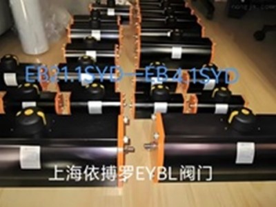 现货供应德国依博罗蝶阀Z011-A DN350规格齐全速发货图4