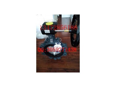 现货供应德国依博罗蝶阀Z011-A DN350规格齐全速发货图5