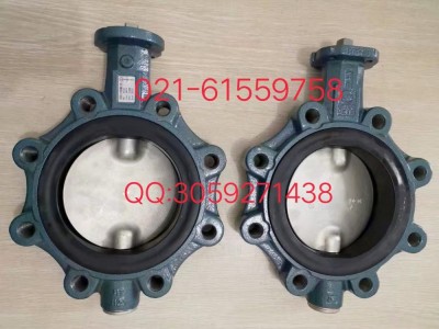 原装正品Z011-A型德国依博罗蝶阀 DN40-DN500速发货图3