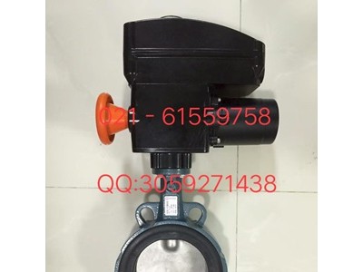 原装正品德国依博罗角行程电动执行器 E50-E210图3