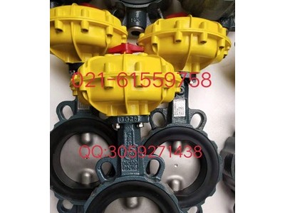 原装正品德国依博罗角行程电动执行器 E50-E210图4