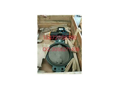 原装正品 德国依博罗EBRO气动扇形蝶阀规格齐全图4