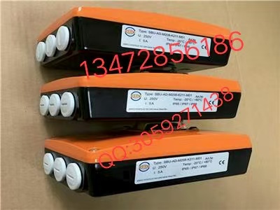 德国依博罗中线软密封蝶阀 EBRO原装正品图2