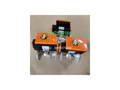 原装正品Z011-A型德国依博罗蝶阀 DN40-DN500规格齐全图2