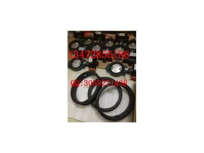 原装正品Z011-A型德国依博罗蝶阀 DN40-DN500规格齐全图4
