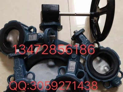 德国依博罗Z014-A支耳式蝶阀DN40-DN500规格齐全图3