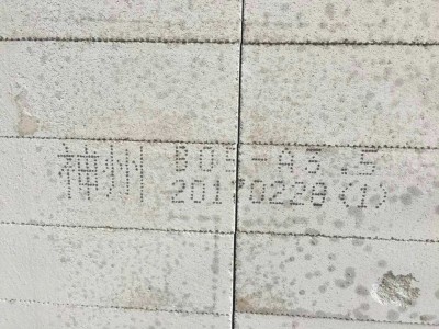 水泥加气砖喷印 大字符喷码机 即喷即干图2