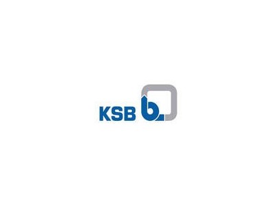 德国KSB阀门止回阀 进口德国凯士比旋启式止回阀图2