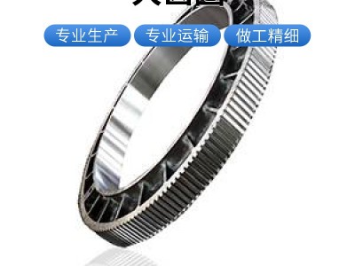 直径6米大齿圈 新腾飞铸钢铸造加工一站式服务 单重45吨 齿轮生产厂图2